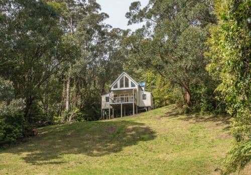 Rainforest Lodge