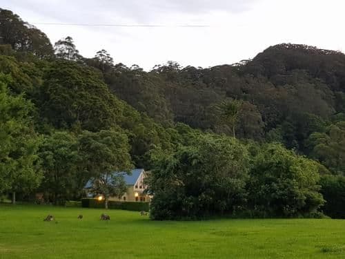 Lyrebird Lodge