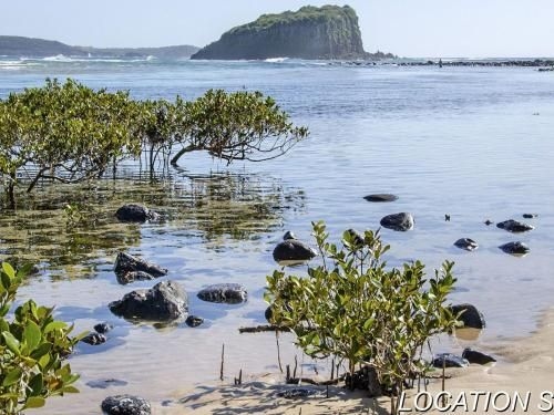 Minnamurra Island View2