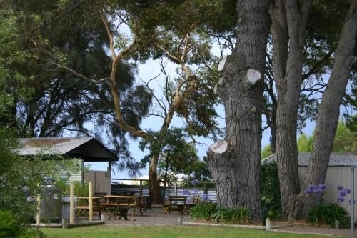 Millicent Hillview Caravan Park4