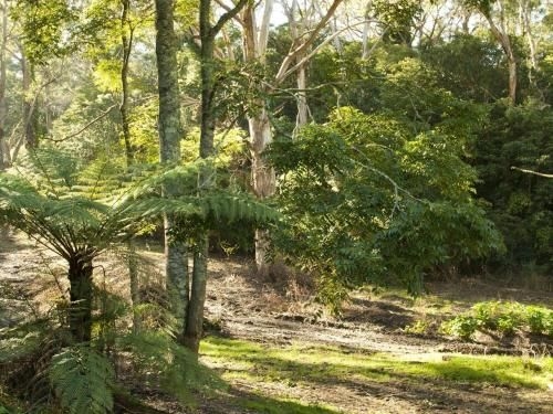 The Gullies Retreat - escape, relax and unwind (The Gullies Retreat - escape relax and unwind)3