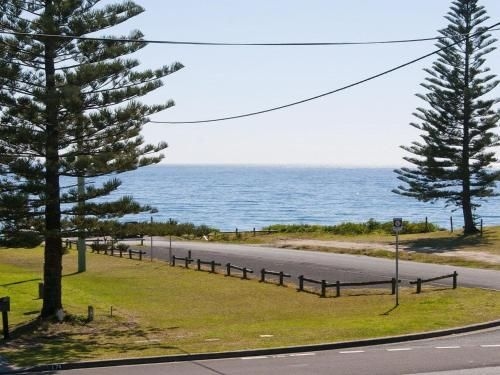 The Penguins Head - across from the beach1