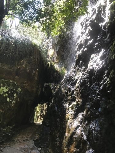 Purling Brook Falls Gwongorella1