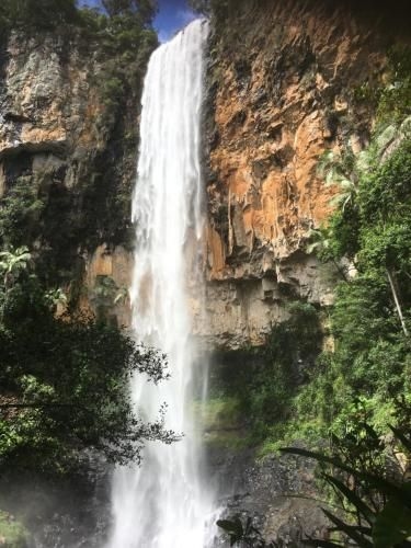 Purling Brook Falls Gwongorella0