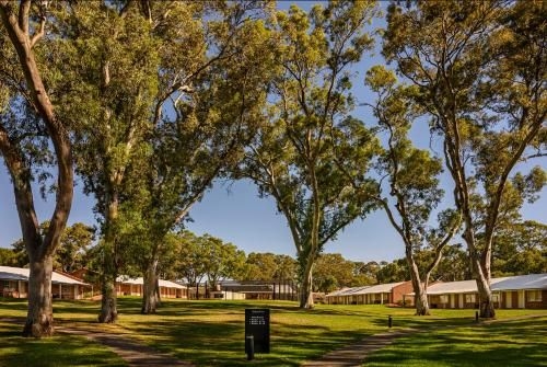 Serafino McLaren Vale0