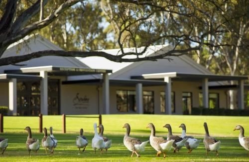 Serafino McLaren Vale2