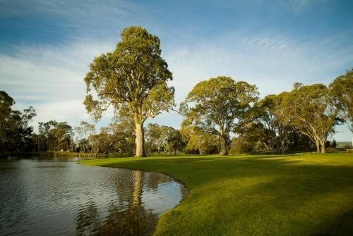 Serafino McLaren Vale3