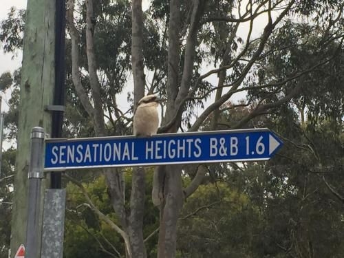 Sensational Heights Bed & Breakfast3
