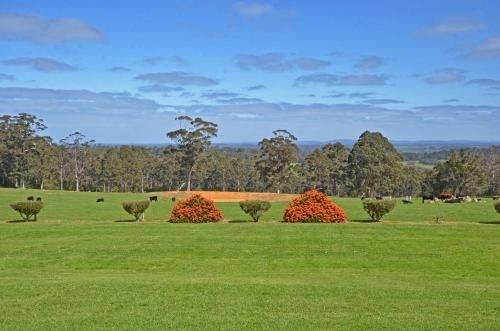 Sensational Heights Bed & Breakfast2
