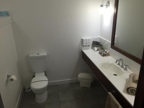 Deluxe King Suite