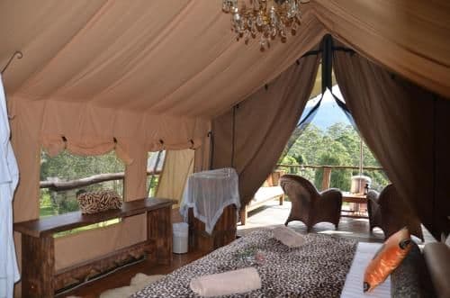 Deluxe Tent