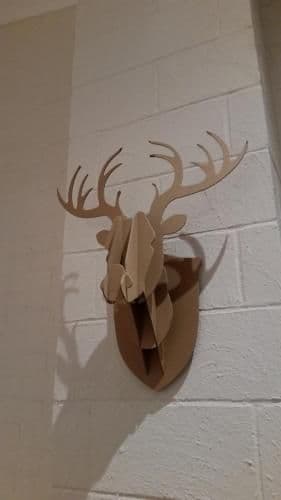Apartment 18