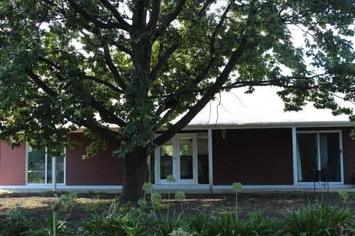 Four-Bedroom Villa