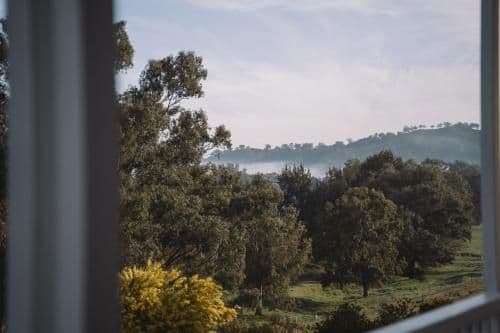 King Room with Large Balcony and Valley View
