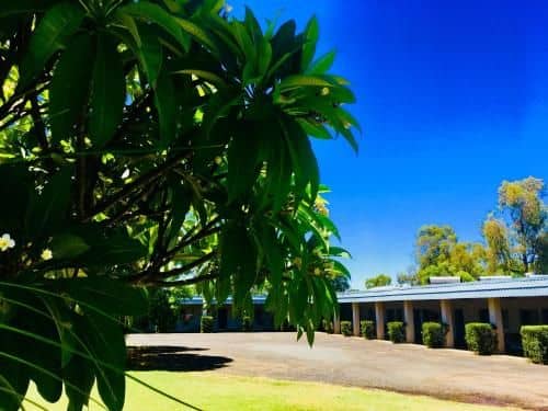 Balonne River Motor Inn Balonne River Motor Inn