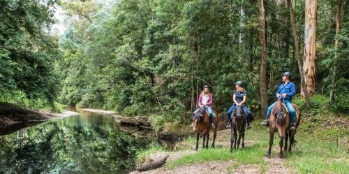 Glenworth Valley Outdoor Adventures1