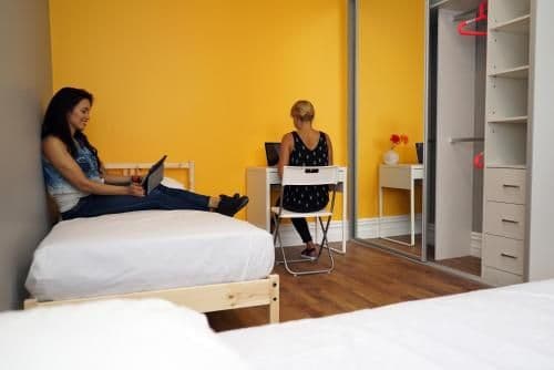 Single Bed in 2-Bed Dormitory Room
