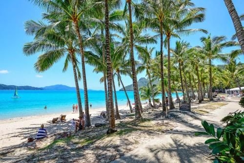 Beachfront Hamilton Island2