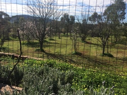 York's Lookout Lodge Bed And Breakfast2