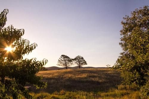 Lone Pine Farm House by Your Innkeeper (Lone Pine Farm House)2