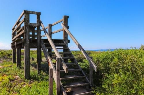 The Beach Shack3