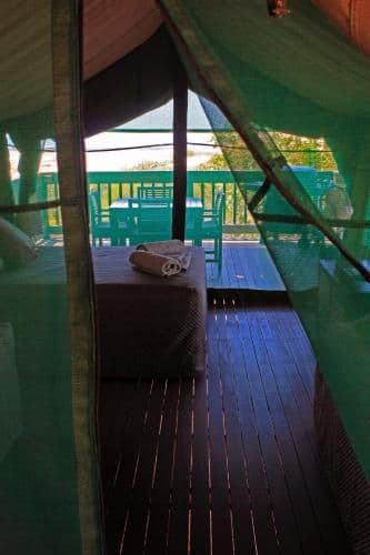 Family Safari Tent