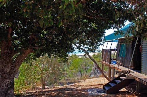 Family Safari Tent