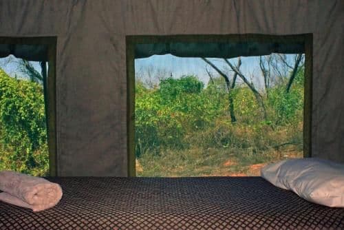 Family Safari Tent