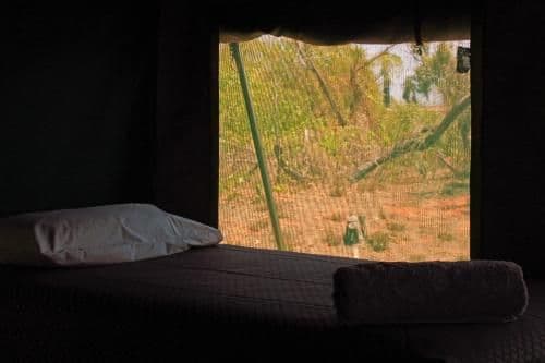 Family Safari Tent