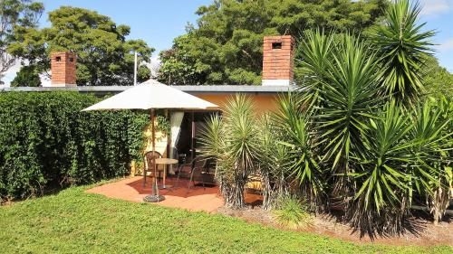 Gumtree on Gillies Bed and Breakfast4