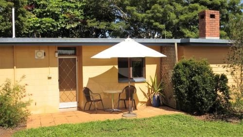 Gumtree on Gillies Bed and Breakfast2