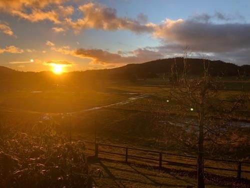Mole Creek Hideaway2