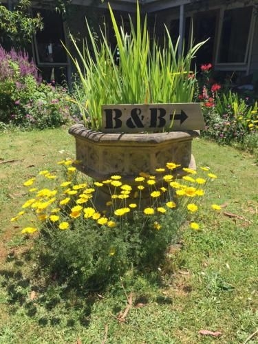 Aashay B&B2