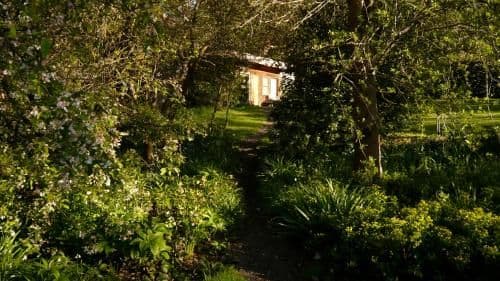 The Cabin