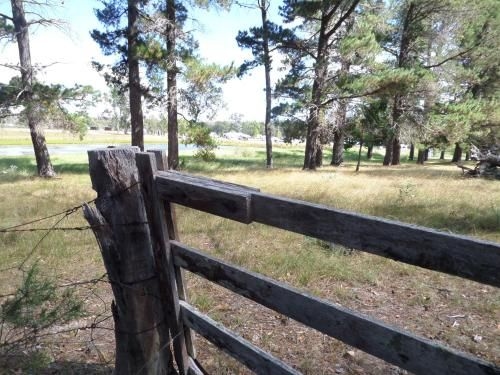 Sommerville Valley Tourist Park & Resort1