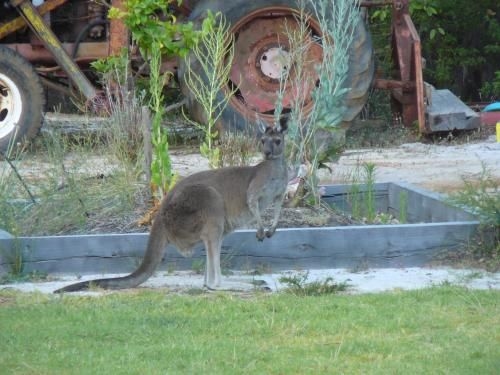 Nannup Bush Retreat1