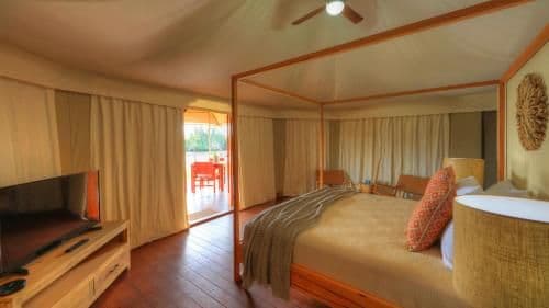King Safari Tent