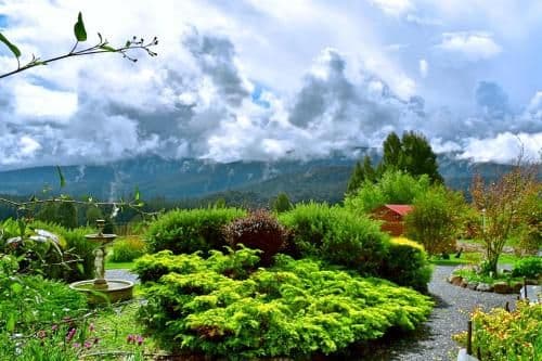 Two-Bedroom Bungalow - Lavender Cabin