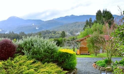 Two-Bedroom Bungalow - Lavender Cabin