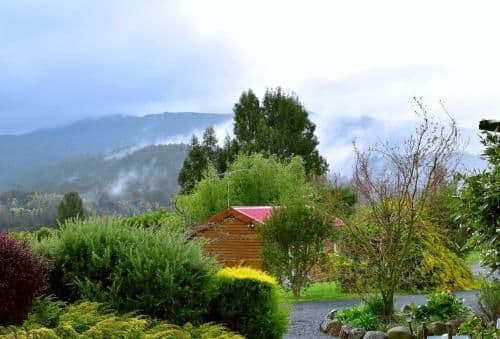 Two-Bedroom Bungalow - Lavender Cabin