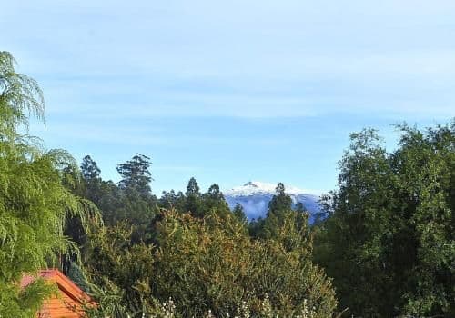 Two-Bedroom Bungalow - Lavender Cabin