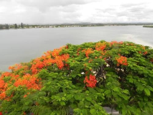 Deluxe One-Bedroom Apartment with River View
