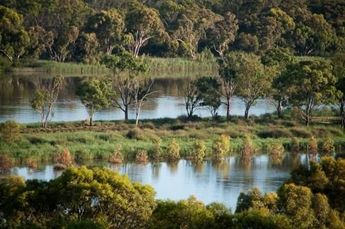 Romantic Getaways at Riverview Rise Retreats4