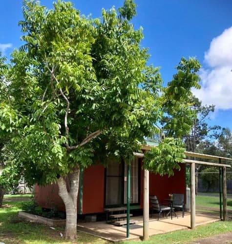 Double Room with Patio
