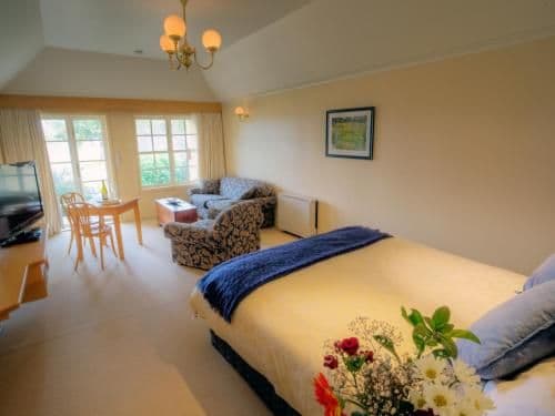 King Suite with Terrace