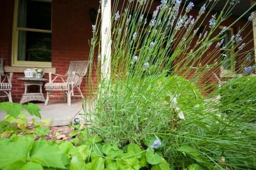 The Graces Beechworth3
