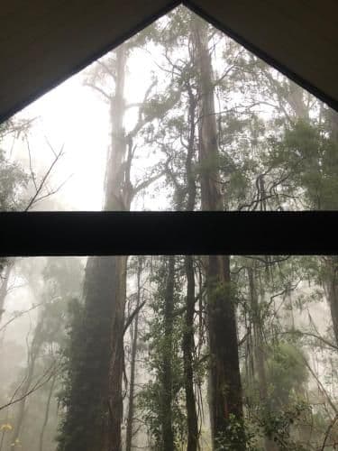 Treetops Cottage 1