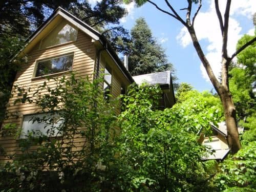 Treetops Guesthouse