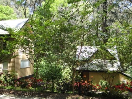 Treetops Guesthouse