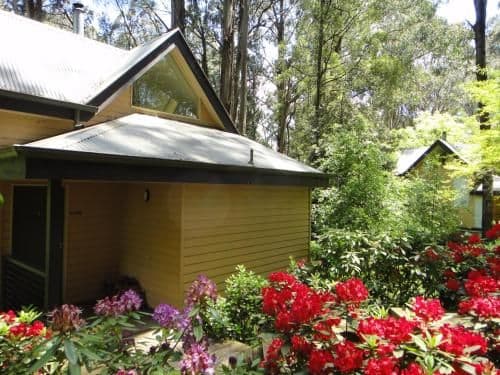 Treetops Cottage 1
